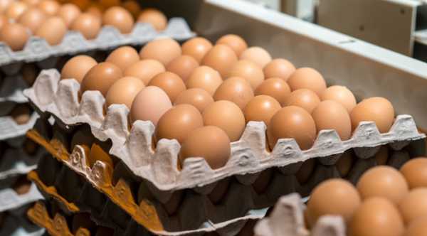 Річний стрибок цін на яйця склав 11%