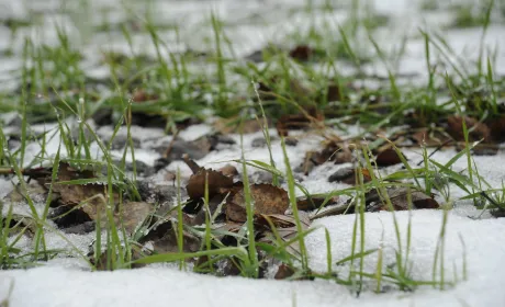 Міравіс® Нео та Міравіс® Ейс в Одеській області: досвід, що говорить сам за себе