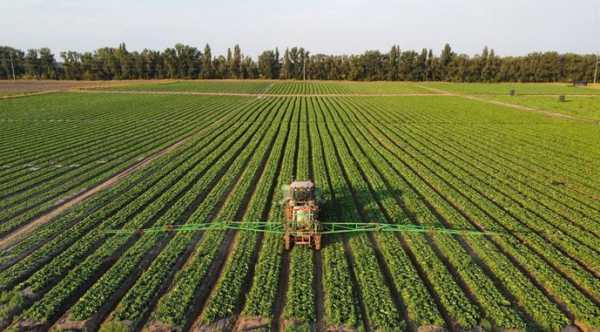 Заснування овочевого господарства потребує більших витрат, аніж вирощування зерна; первинні інвестиції – від $7&hellip;
