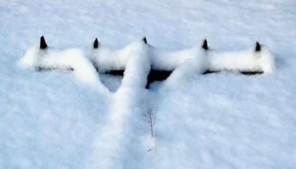 Календар дачника Чим зайнятися у лютому?