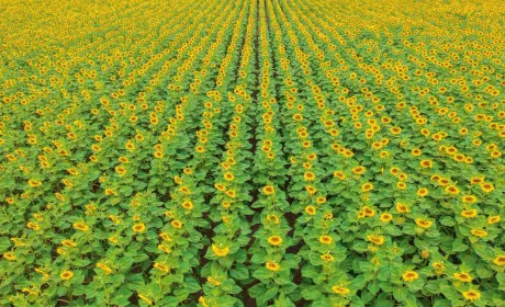 Легендарна дія тепер із ширшим асортиментом