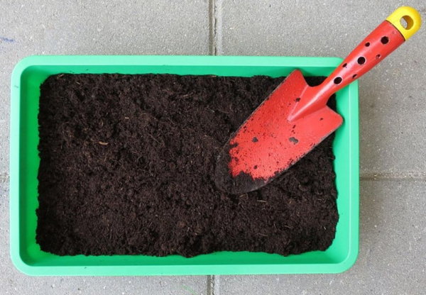 Що робити в саду та городі ранньою весною?