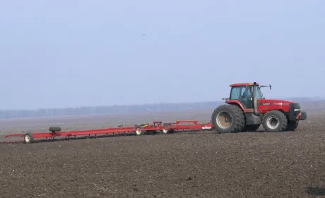 Дискування озимих культур після зими