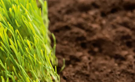 Бесіда про щось непомітне