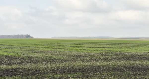 Визначено локацію з найбільшим зосередженням інноваційних рішень для сільського господарства.