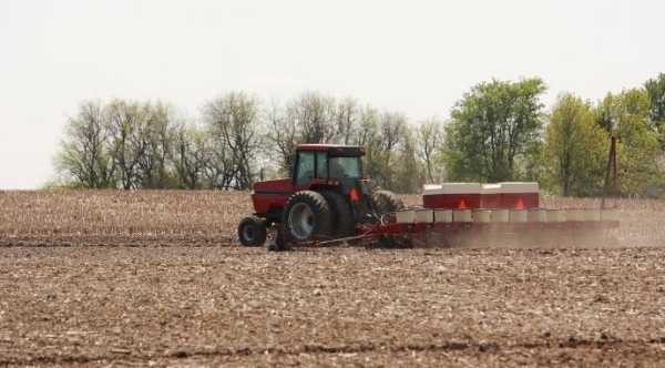 Найбільші площі на Чернігівщині засіяли вівсом