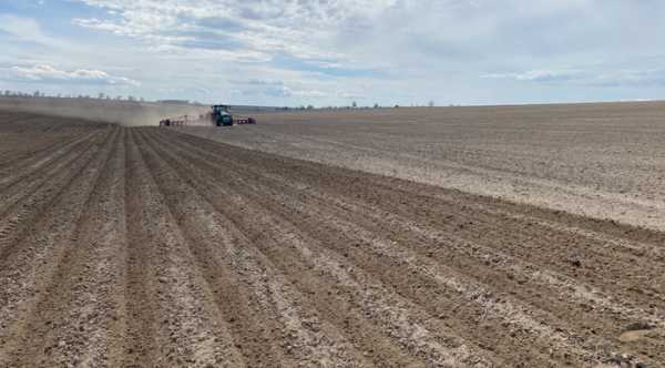 На Хмельницькій землі завершено посів ранніх зернових культур.