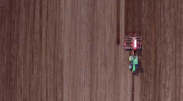 Зібрано понад 60% земель для цукрових буряків