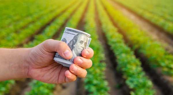 Агросектор зменшує залучення позик за рахунок державних портфельних гарантій