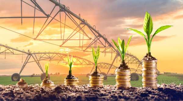 Тривала конфронтація в Ірані здатна підвищити витрати українських сільгоспвиробників у десять разів