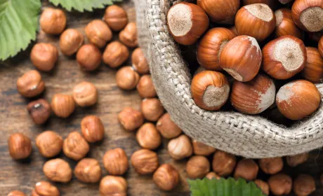 Золотистий горішок Волинського краю