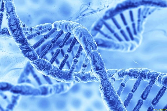 Редагування геному як основа майбутньої медицини, довголіття та трансформації людського організму