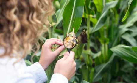 Кадрове питання в агросекторі України: хто замінить працівників?