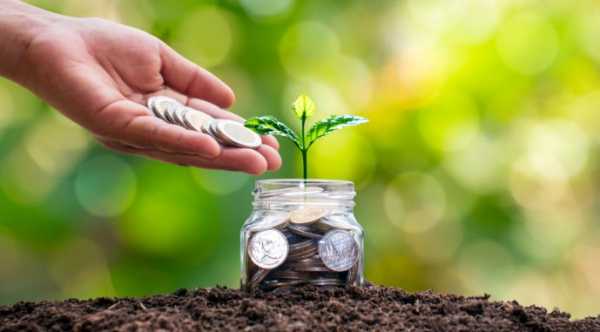 Оновлено грантові програми для садів, теплиць і овочесховищ відповідно до стандартів ЄС