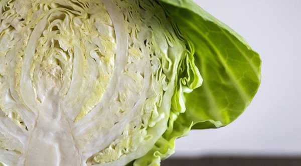 Розпочалася пора української молодої капусти