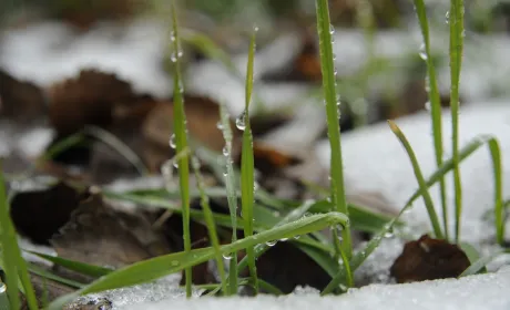 Богдан Вокальчук: «Біопрепарати забезпечують більшу стійкість у ситуаціях, коли погодні умови та&hellip;