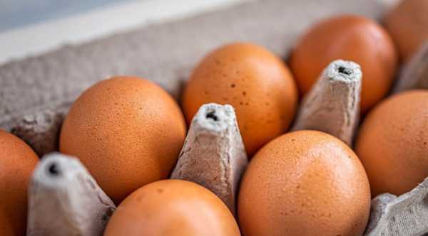 Україна встановлює нові рекорди у продажу яєць за кордон.