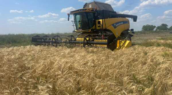 В Україні стартувала пора збору врожаю