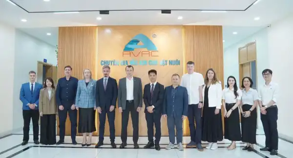 В’єтнам та AVAC: країна, яка перетворила спалах африканської чуми свиней на бізнес