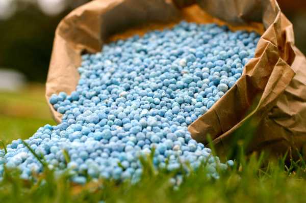 Завод Mulalo Granular для виробництва добрив отримав схвалення в Малаві