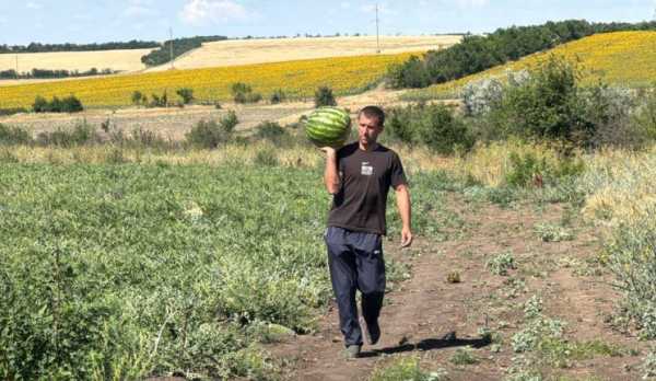На Одещині ексвійськовий зібрав перший врожай баштанних.