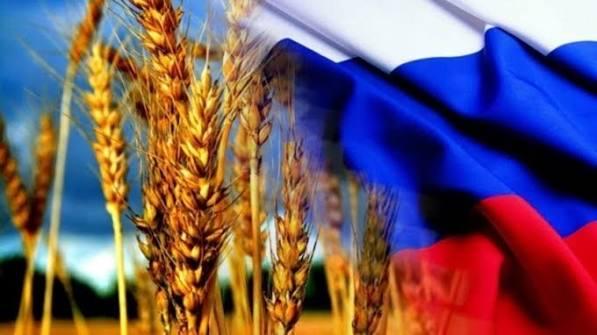 Зупинка поставок з Азовського моря може тимчасово підняти вартість зерна — УкрАгроКонсалт