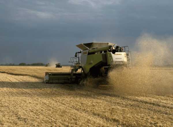 АГРОТРЕЙД Group розпочав жнива 2026: першочергово збирають озимий ріпак і…