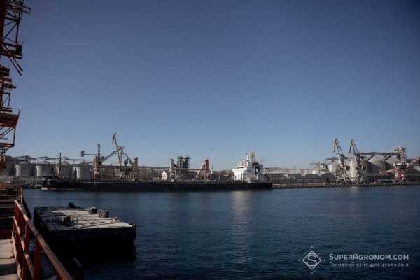 Блокада портів переписує правила: у ТАС Агро описали чотири сценарії для аграріїв
