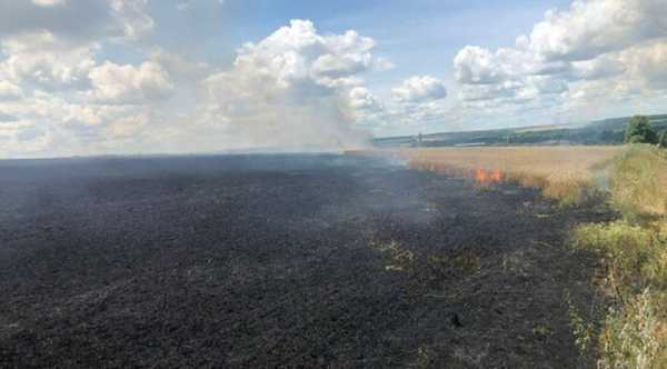 На Херсонщині палають лани із врожаєм