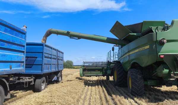 Збір ранніх зернових культур завершено у фірмі «Агро-Рось»
