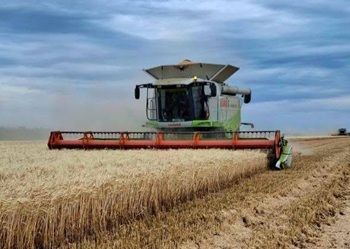 Збір ярої пшениці на підприємстві “Теком Агро Груп” добіг кінця