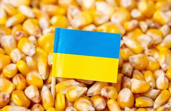 Зниження цін на українську кукурудзу внаслідок нападів на портову інфраструктуру Чорного моря