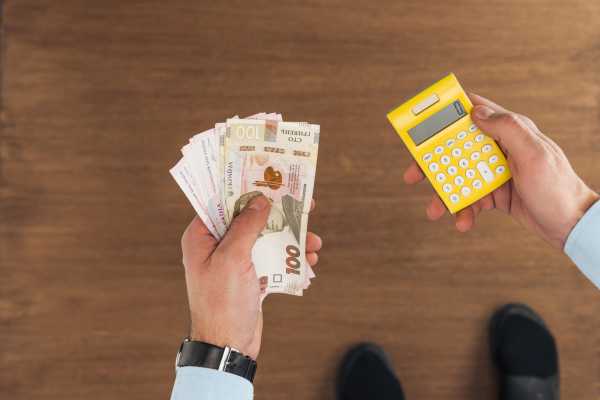 Український земельний ринок: фахівець розповів про безпечні інвестиції та потенційний прибуток