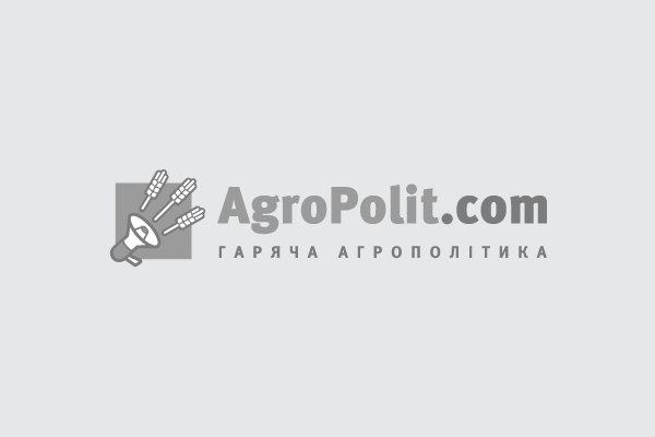 Темпи зернового експорту з України наприкінці липня помітно знизилися