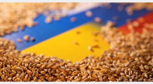 Експорт зерна та кукурудзи вдвічі вищий, ніж минулого року