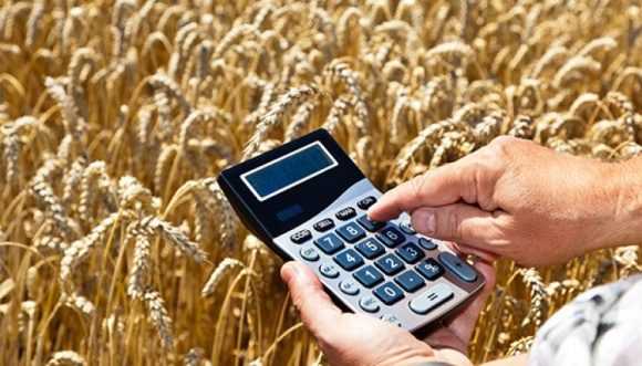 Гарантії держави на 50% позик через кредитні спілки для аграріїв з ділянками до 500 га