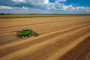 Врожайність ячменю в Україні: найкращі показники та здобутки