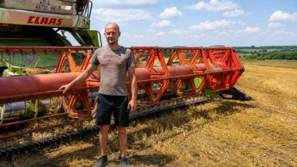 Засуха знищила частину врожаю: аграрії Рівненщини працюють у непростих умовах