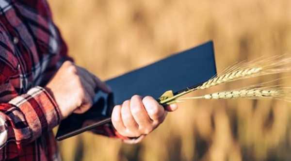 Податкова служба модернізує особистий кабінет платника податків