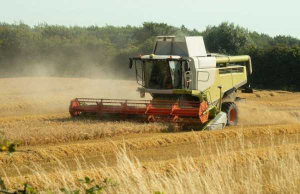 Аграрії України отримали 242 мільйони гривень допомоги на купівлю сільськогосподарської техніки.