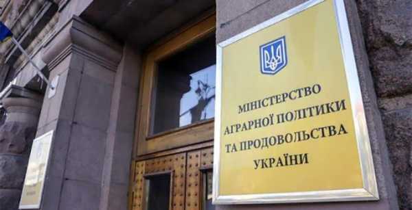 В Україні точаться дискусії щодо відродження Міністерства аграрної політики задля пришвидшення європейської інтеграції.