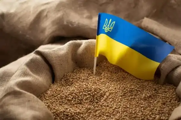 Збільшення українського експорту зернових у новому сезоні вдвічі