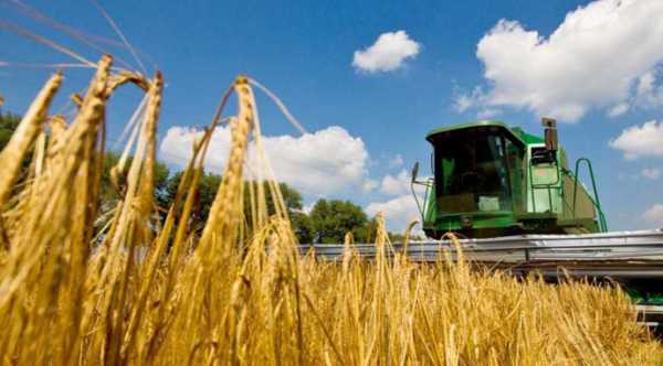 Збір урожаю на Донеччині розпочався лише на 10% доіснуючих площ
