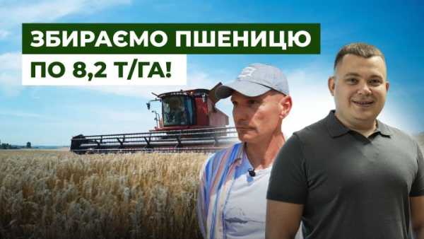 Нова глава для ВЕРЕС: Співпраця з Голден Агро, акцент на твердій пшениці та переробка соняшникового насіння