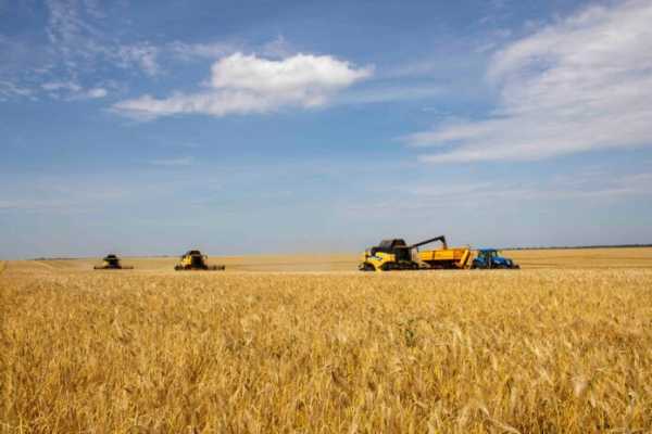 «Немає куди продавати»: аграрії готові змінювати схеми посіву та шляхи транспортування через експортну кризу
