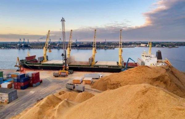 Україна скоротила експорт зерна: втрати від російських атак сягнули 12%