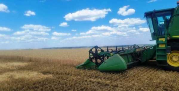 На Донеччині, незважаючи на обстріли, зібрано 60% ранніх зернових культур.