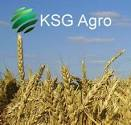 KSG Agro зібрав урожай ранніх зернових