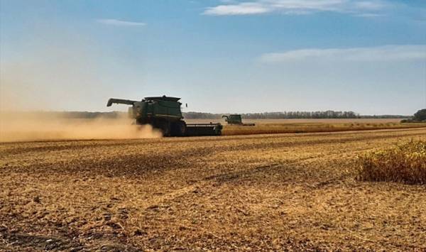 Зібрано понад 2,3 мільйона тонн зерна на Кіровоградщині