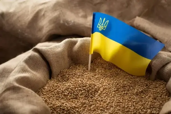 Українське зерно: як минув серпень 2026 року